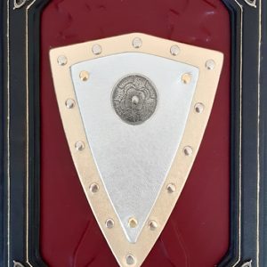 Книга в кожаном переплете "История русской армии в иллюстрациях"