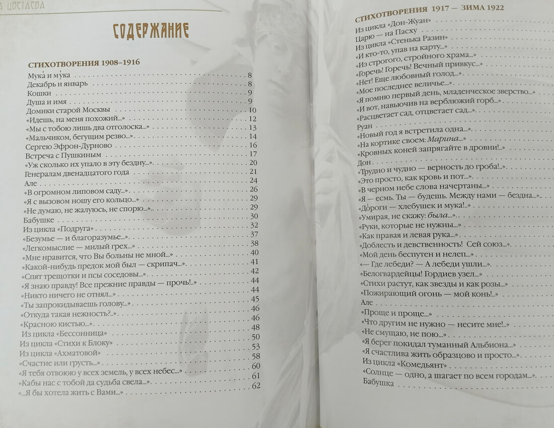 Подарочная книга в кожаном переплете М. Цветаева "Душа, не знающая меры" — изображение 13