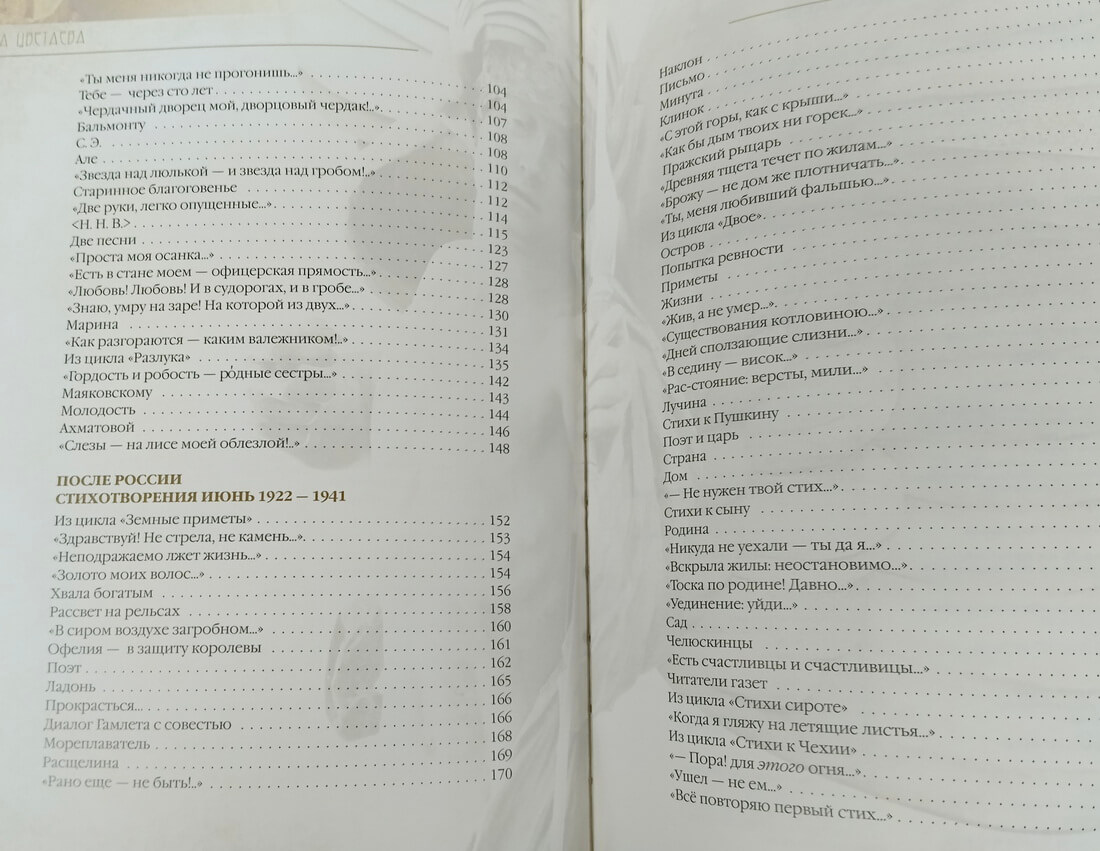 Подарочная книга в кожаном переплете М. Цветаева "Душа, не знающая меры" — изображение 14