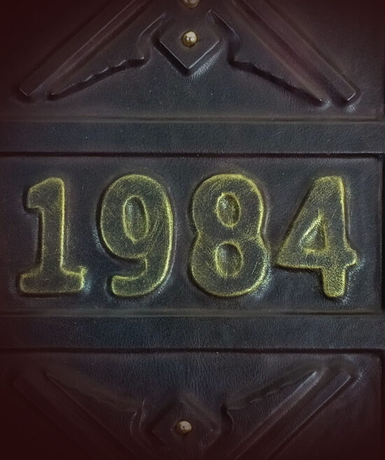Подарочная книга "1984" Дж. Оруэлл в кожаном переплете (вариант "Золото") — изображение 2