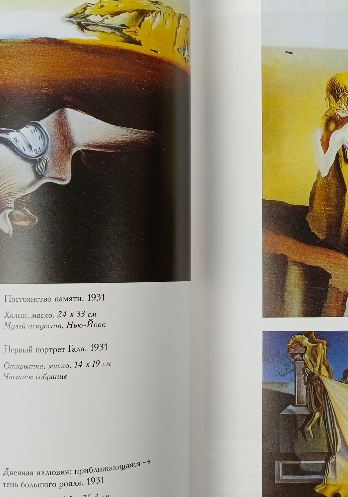 Подарочная книга/альбом в коже Сальвадор Дали (большой формат, экземпляр №1) — изображение 8