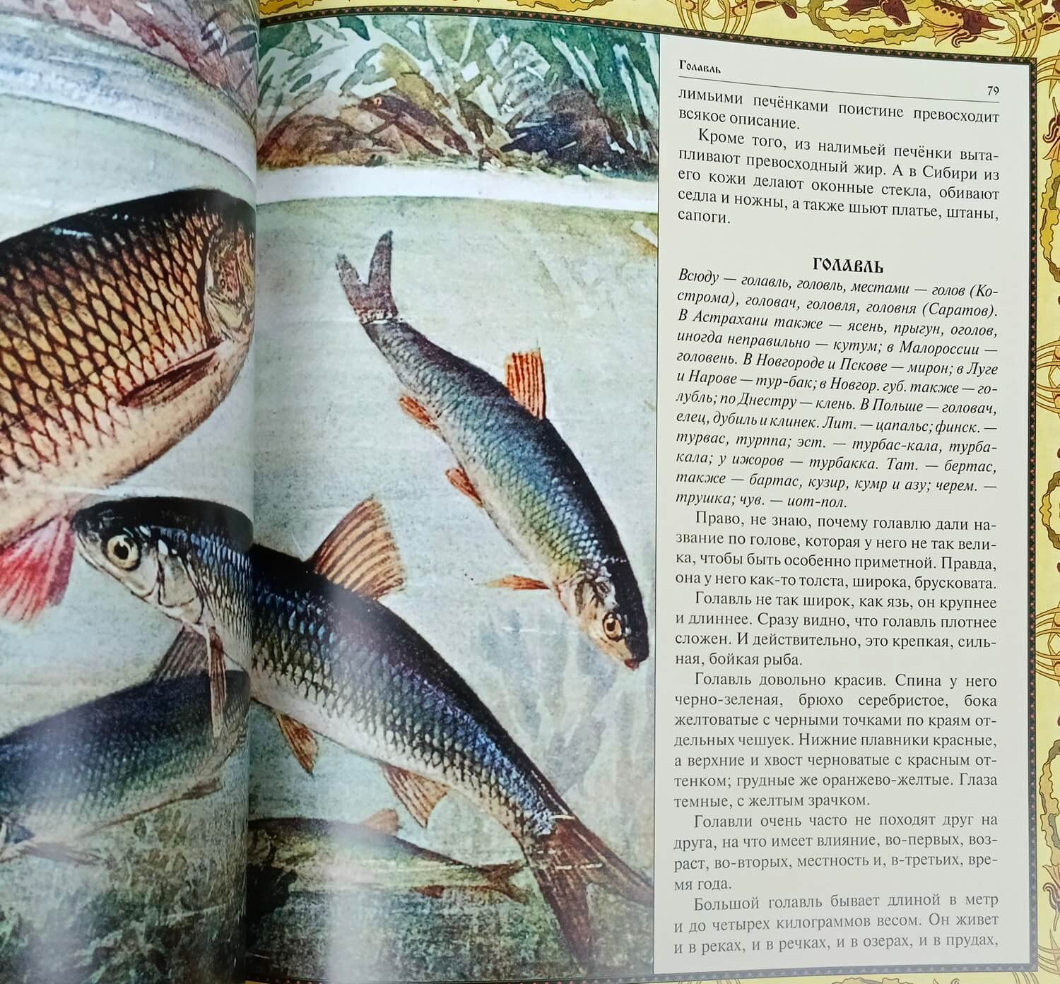 Подарочная книга в кожаном переплете "Русская рыбалка" — изображение 11