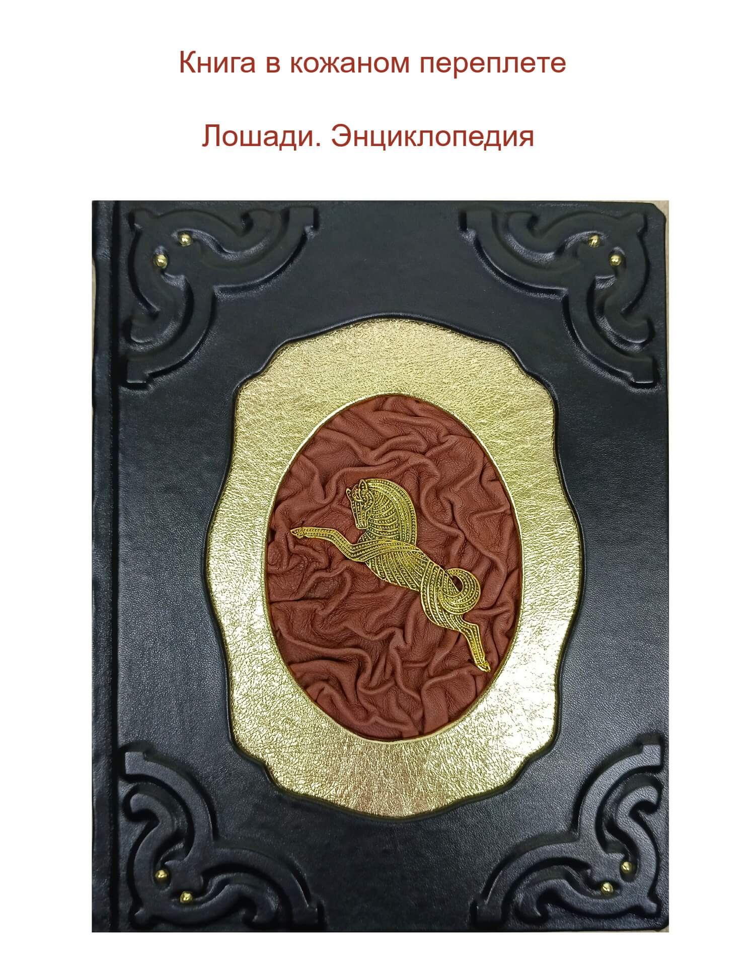 Книга в кожаном переплете "Лошади. Энциклопедия" (отделка коричневой кожей)