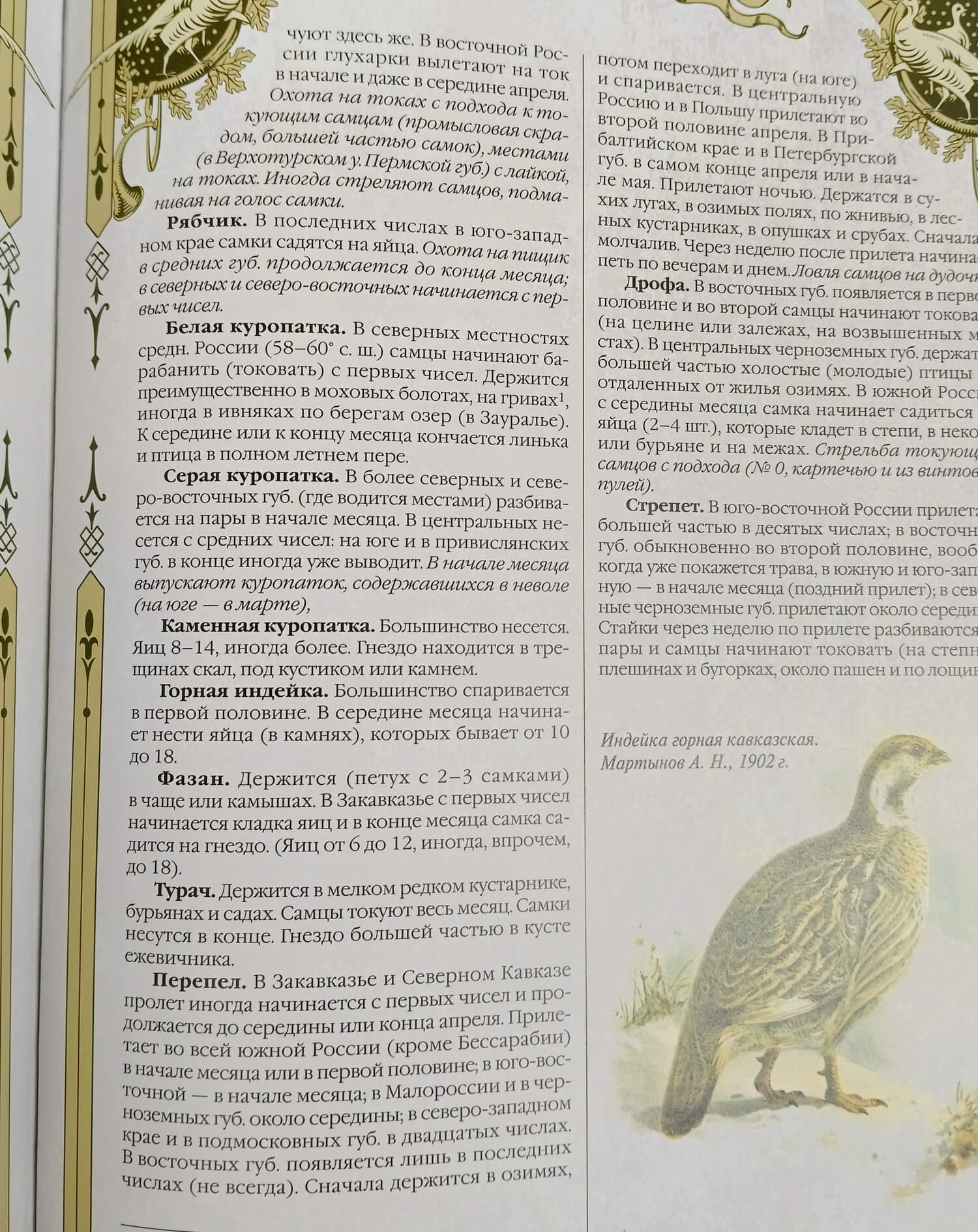 Книга "Большая книга русской охоты" в кожаном переплете (единственный экземпляр) — изображение 13